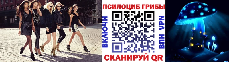 shop наркотические препараты  дарнет шоп  Жиздра  Галлюциногенные грибы Magic Shrooms 